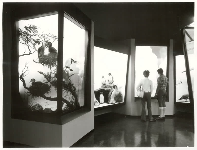 Birds, 1973