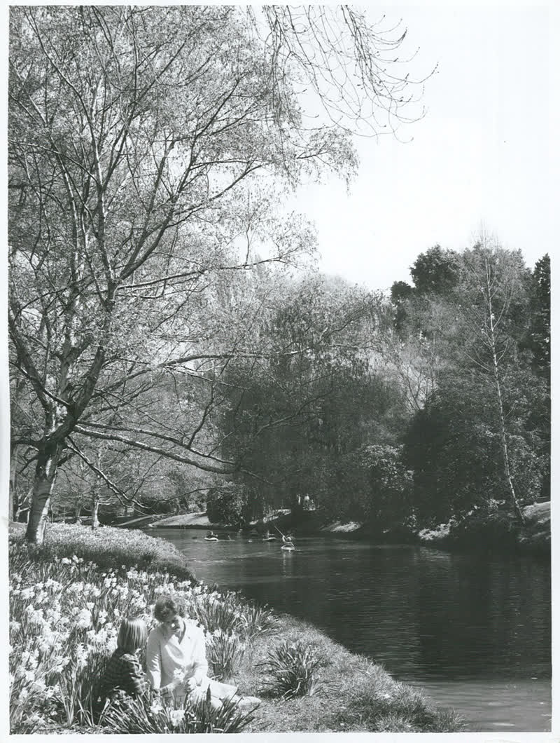 Canterbury - Christchurch City - Avon River, 1967
