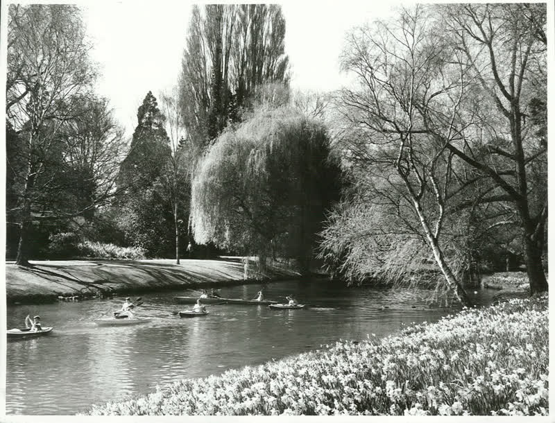 Canterbury - Christchurch City - Avon River., 1967