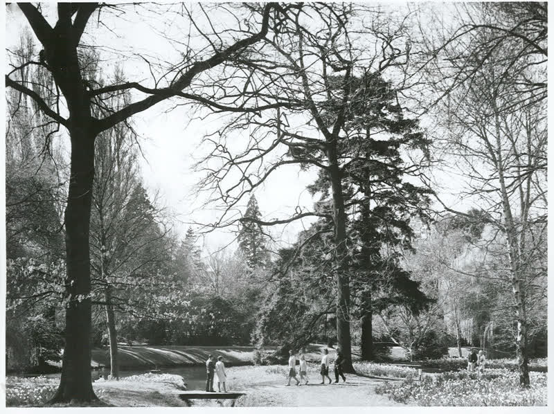 Canterbury - Christchurch City - Avon River., 1967