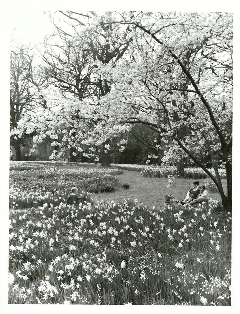 Canterbury - Christchurch City - Hagley Park, 1977