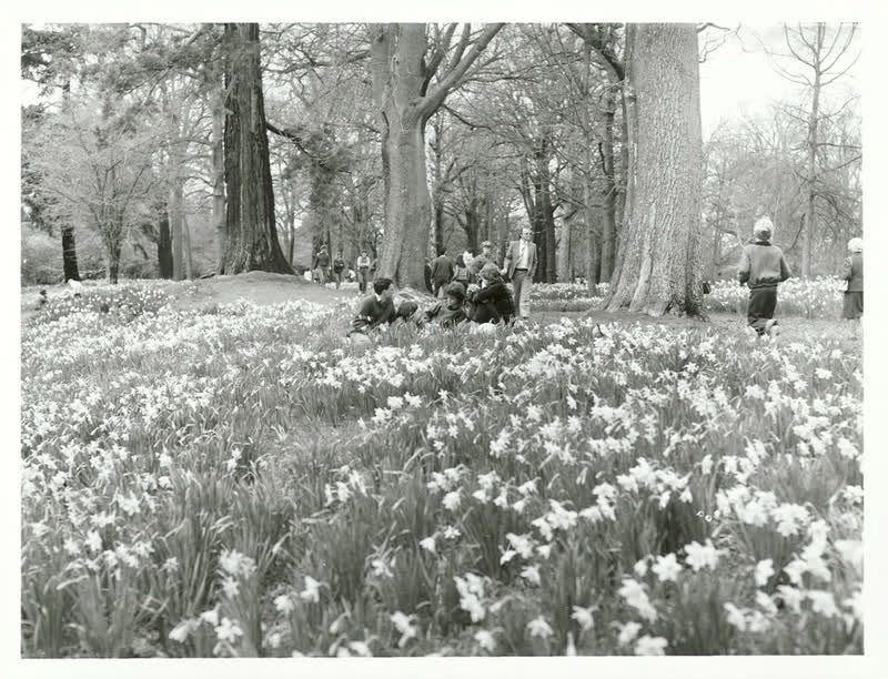 Canterbury - Christchurch City - Parks & Reserves, 1983