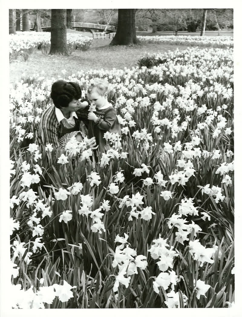 Canterbury - Christchurch City - Hagley Park, 1977