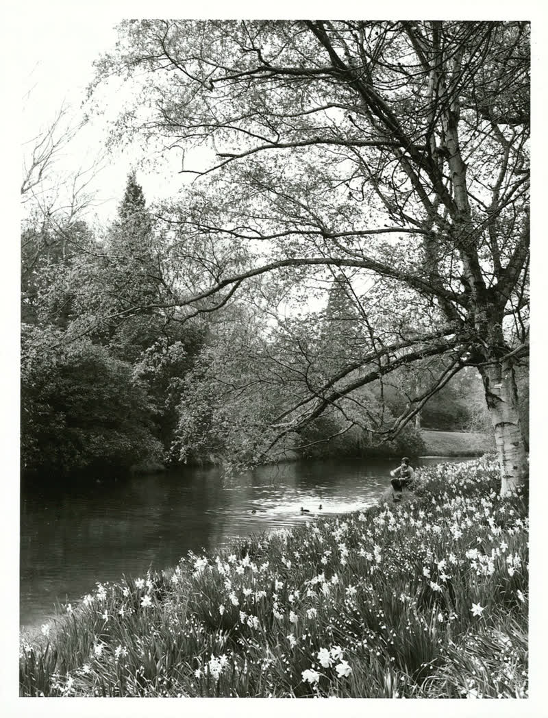 Canterbury - Christchurch City - Hagley Park, 1977