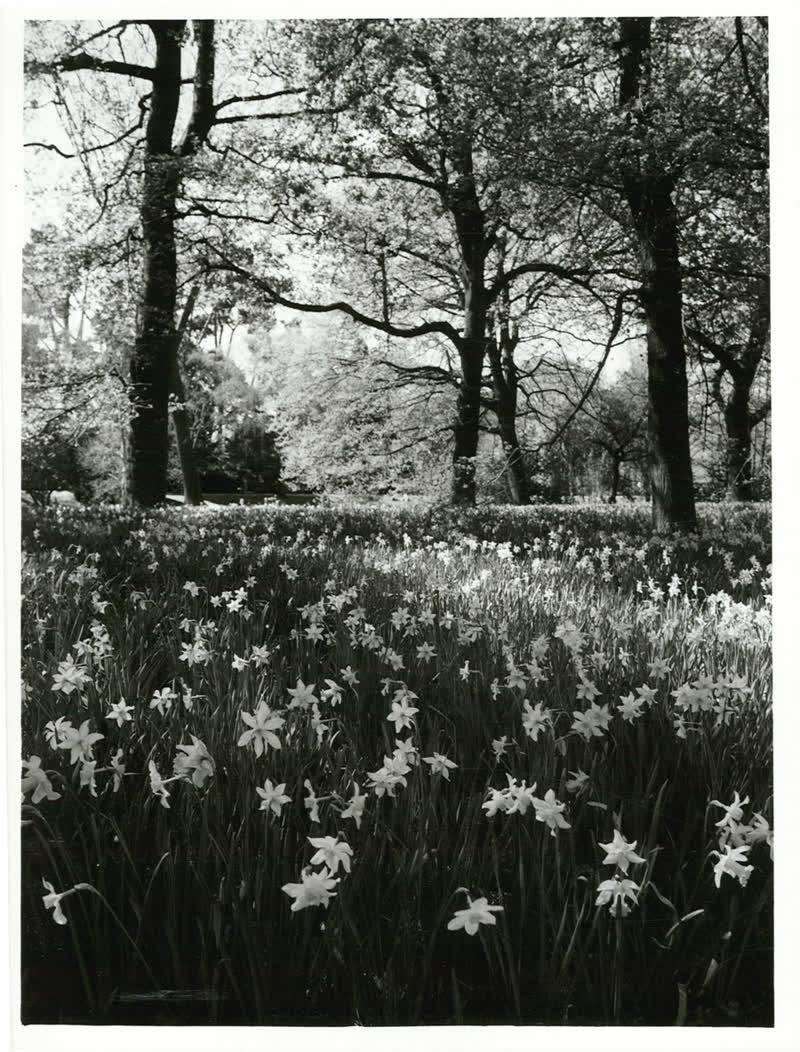 Canterbury - Christchurch - Parks & Reserves, 1980