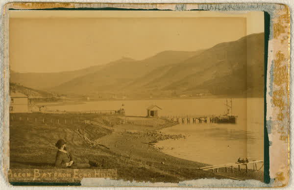 Unidentified man lying on grass near Pigeon Bay pier, 1886