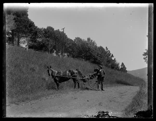 A man with a horse and chaise, 1900