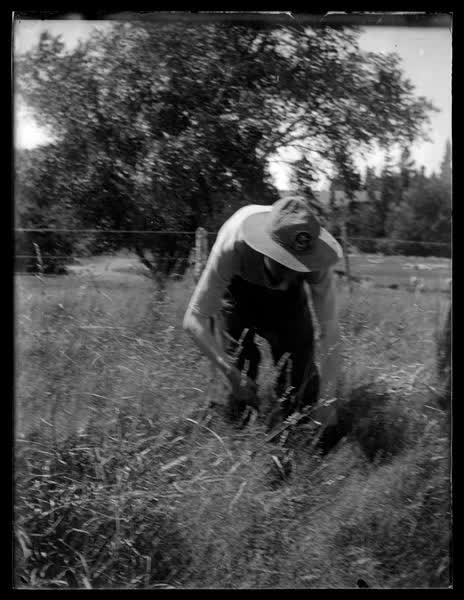 Boy scout working in field, 1900