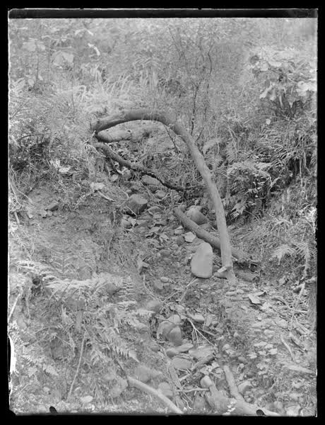 Rock fall, 1900