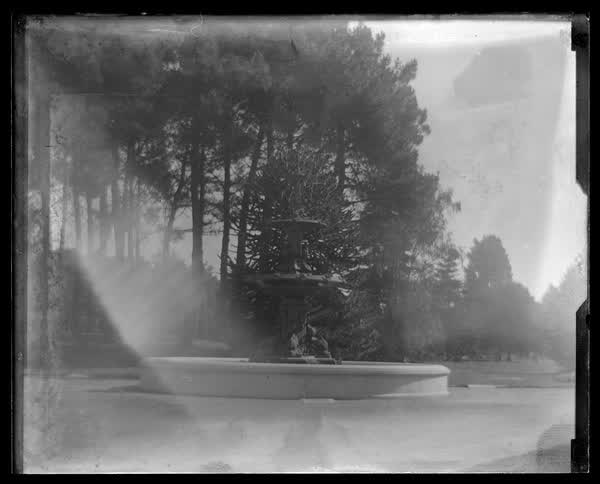 Peacock fountain at the Botanic Gardens, 1911