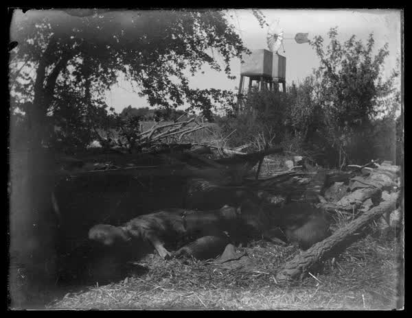 Two water tanks and a wind mill, 1900