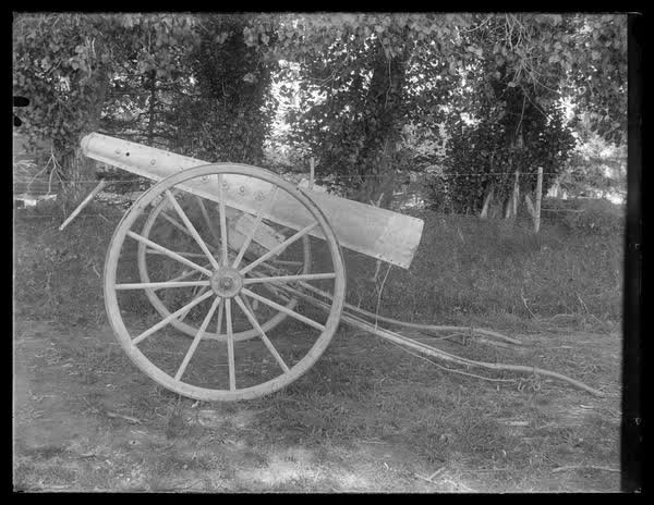 Sprung cart, 1900