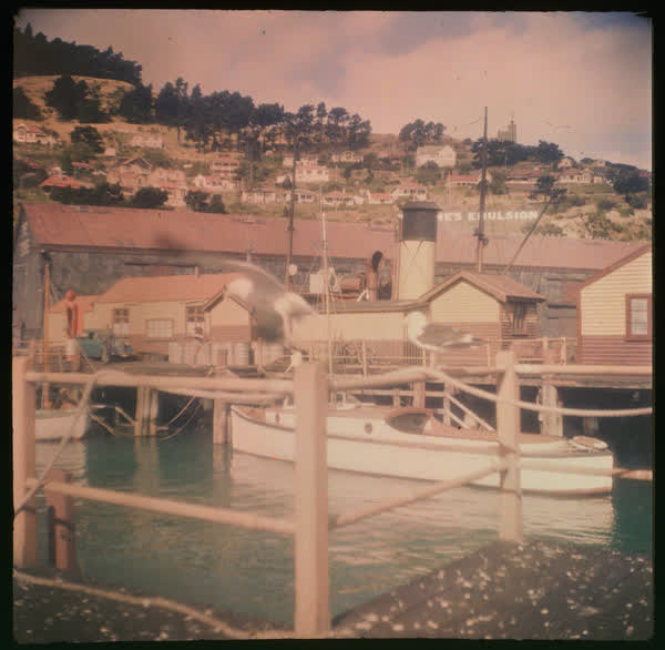View of the Port Hills (from Lyttelton’s side), 1950