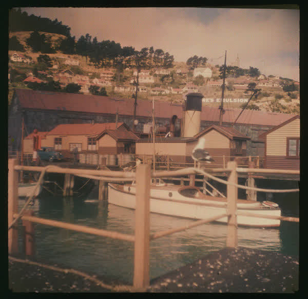 View from Lyttelton wharves, 1950