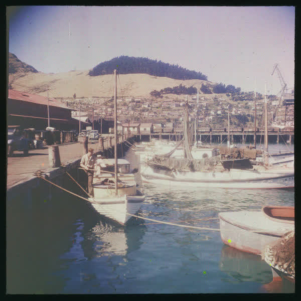 Sailing boats at the wharf, 1950
