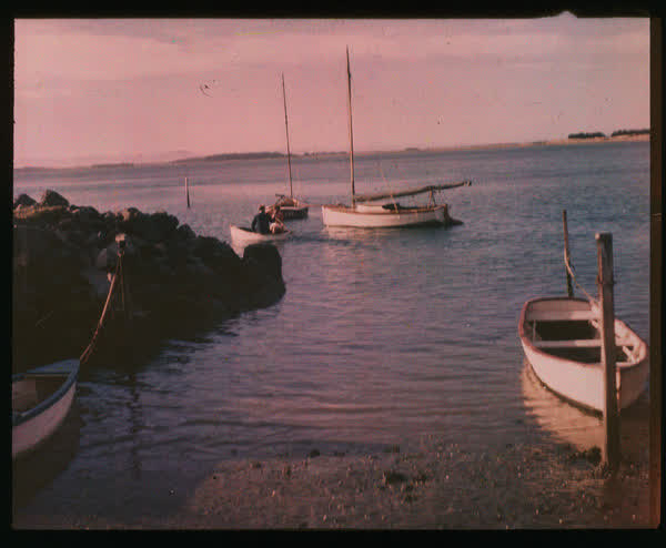 Couple in a dinghy, 1950