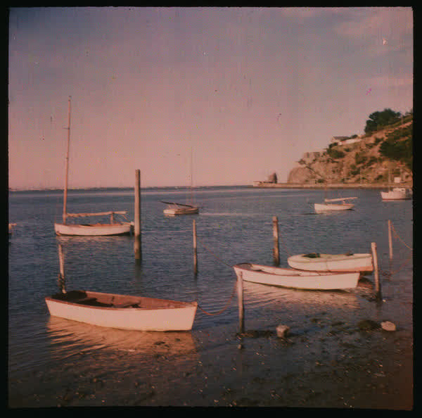 Boats tied to poles, 1950