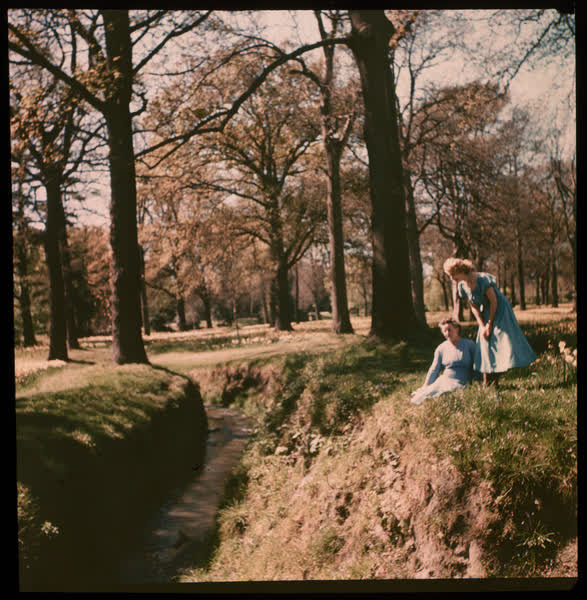 Hagley Park, 1950
