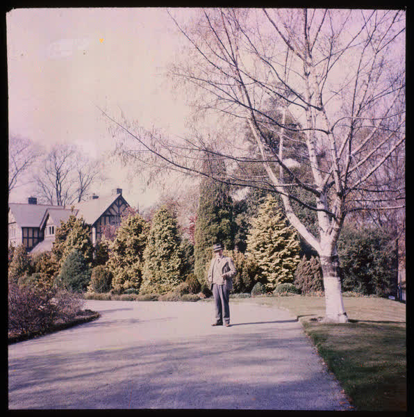 Curators House driveway, 1950