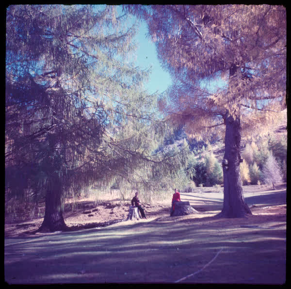 Two women standing by trees, 1950