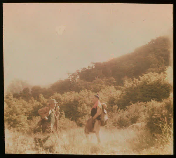 Two men standing in the bush, 1950