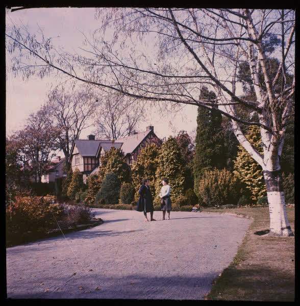 Two women standing in a driveway, 1950
