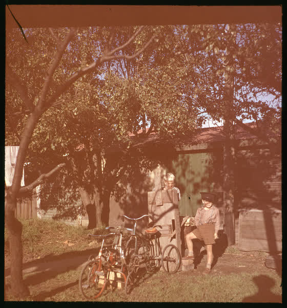 Two boys in the garden, 1950