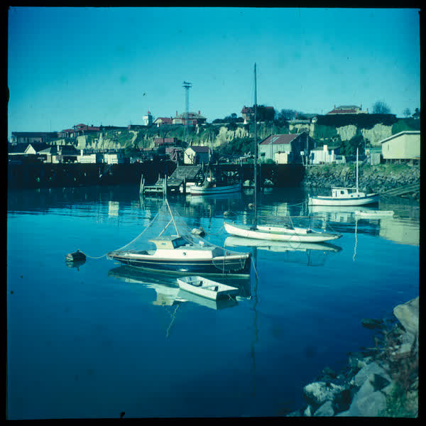 Caroline Bay in Timaru, 1950