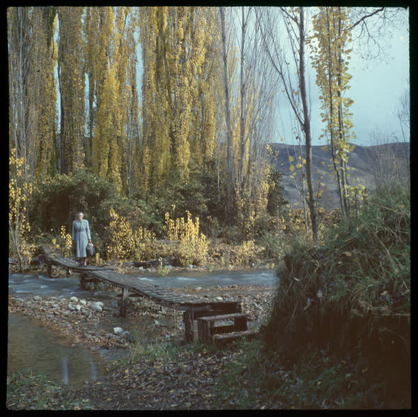 A woman on a footbridge, 1950