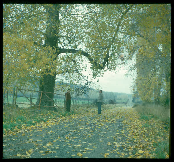 Standing by a fence, 1950