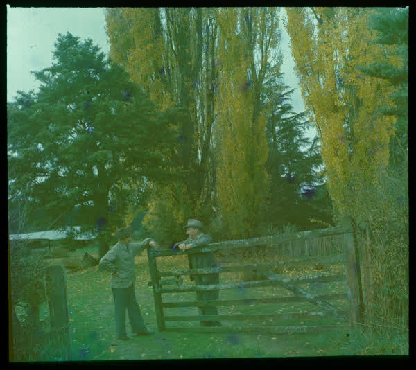 Casual conversation, 1950