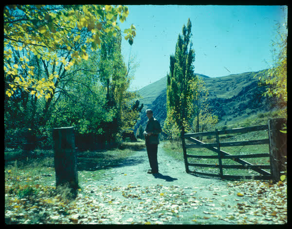 Man standing by a gate, 1950