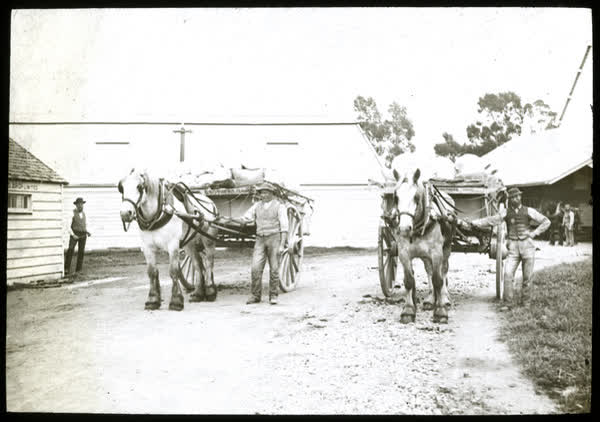 Carts loaded with flour outside Wood's Mill, 1894