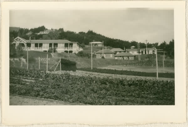 Coronation Hospital and adjacent buildings, 1920