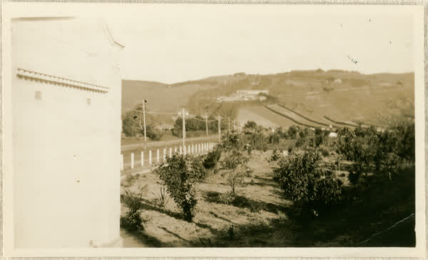 Looking towards Cashmere Sanatorium, 1930