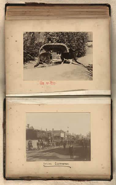Two cats with a basket, a Mafeking street parade, 1900