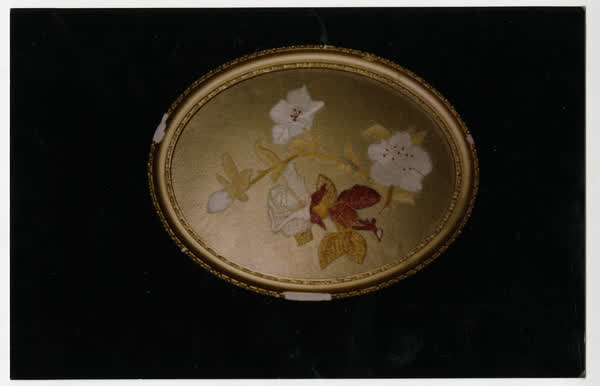 Machine Embroidery from Singer Co 1895., 1890