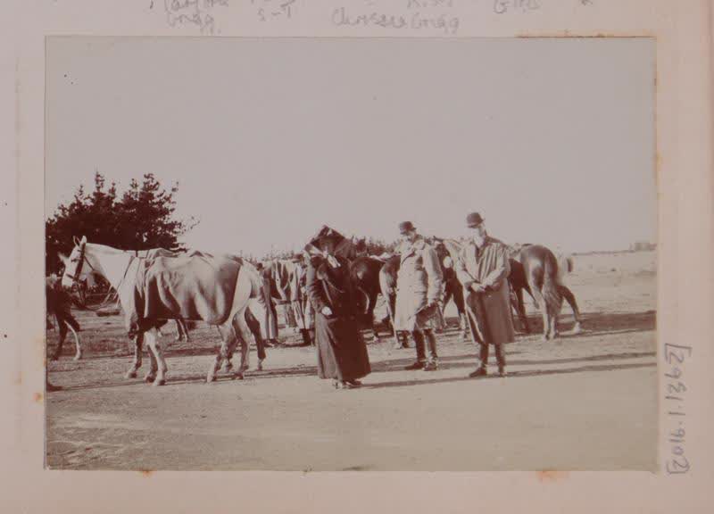 Photograph: Three People infront of Horses, 9 June 1913, 1913