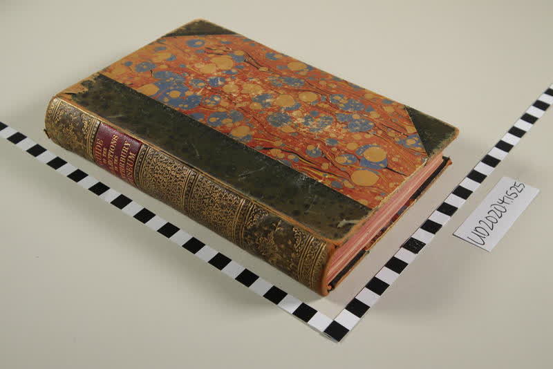Book: Guide to the Collections in the Canterbury Museum Christchurch, New Zealand 1895, 1895