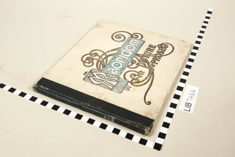 Book: Maoridom, in Picture and Prose, From the Best Authorities, 1899