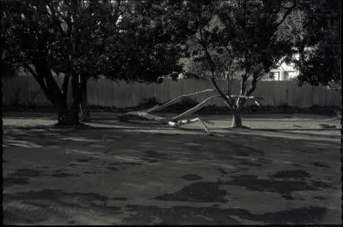 Various parks and gardens, 1970
