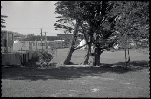 Various parks and gardens, 1970