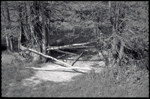 Various parks and gardens, 1970