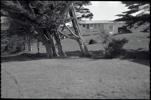 Various parks and gardens, 1970