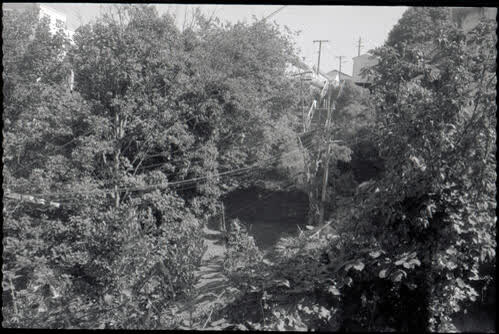 Various parks and gardens, 1970