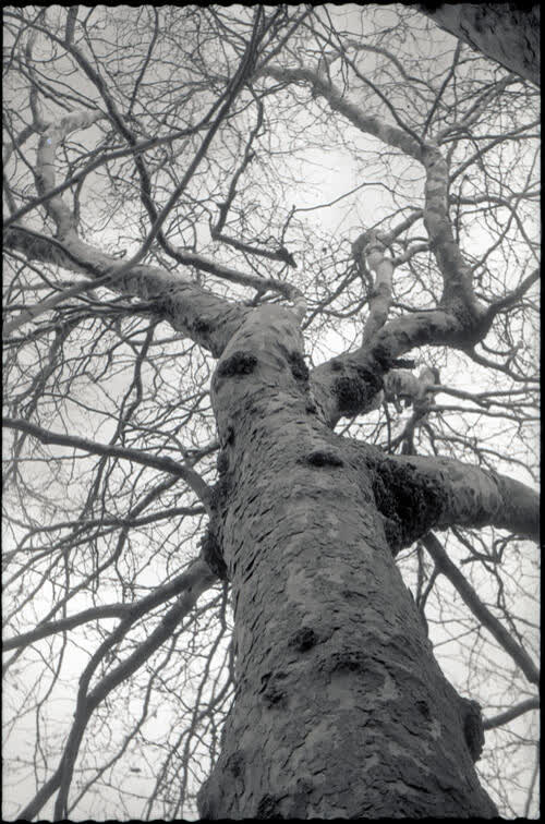 Various parks and gardens, 1970