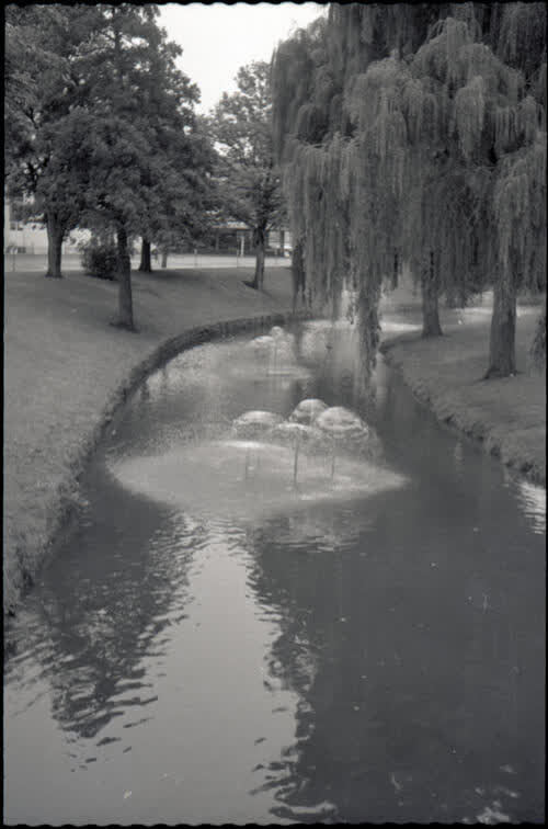 Avon River, Christchurch, 1970