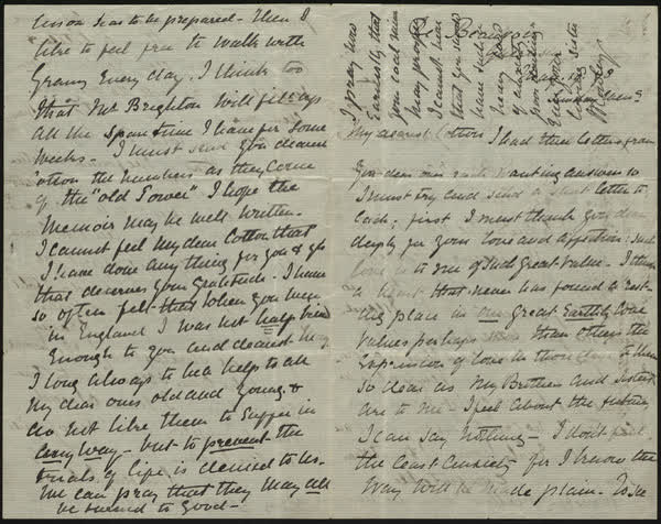 Letter to Cotton, 19th May 1878, 1878