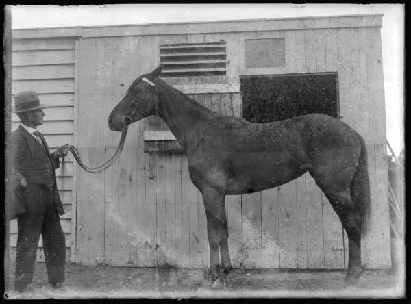 Man with a horse, 1900