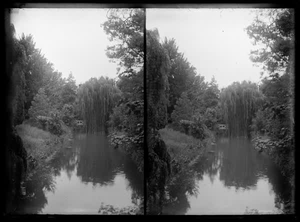 River surrounded by trees, 1900